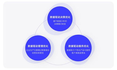 浙大管院与阿里妈妈联合报告 2023品牌经营增长新机遇